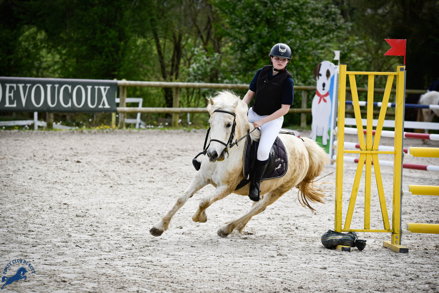 5 avril 2026 : CSO au Parc des Lyons de Santeny – Championnat départemental